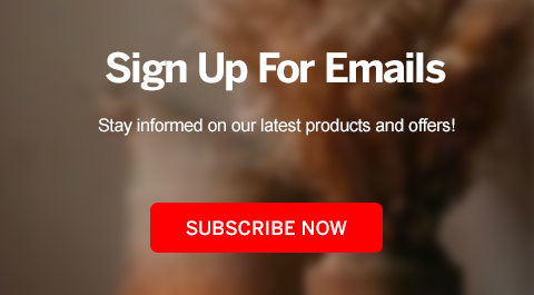 Email Sign Up