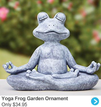 Frog Yoga