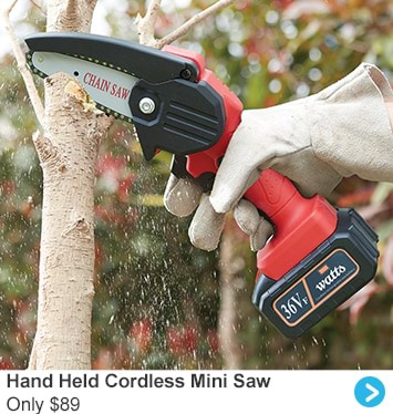 Hand Held Cordless Mini Saw