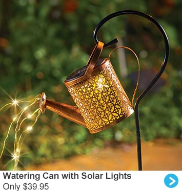 Watering Can with Solar Lights