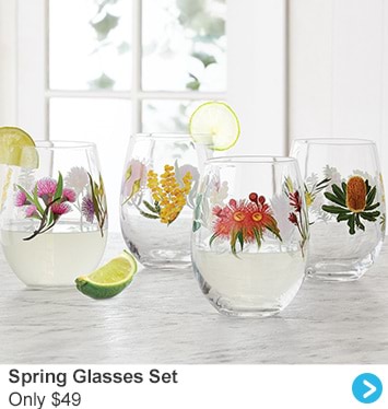 Spring Glasses Set