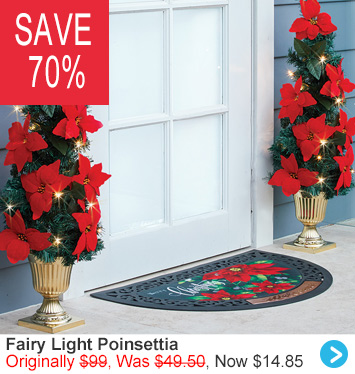Fairy Light Poinsettia