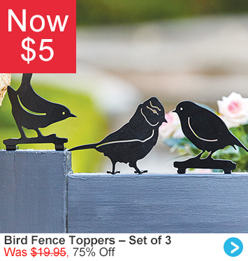 Bird Fence Toppers