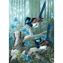 Superb Fairy Wrens 1000 pieces Jigsaw Puzzle