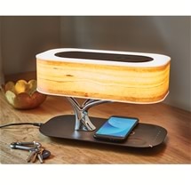 Bonsai Lamp, Speakers and Charger