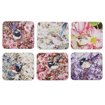Pretty Little Wren 6pk Coaster