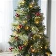 Topiary Christmas Tree_ATOPT_1