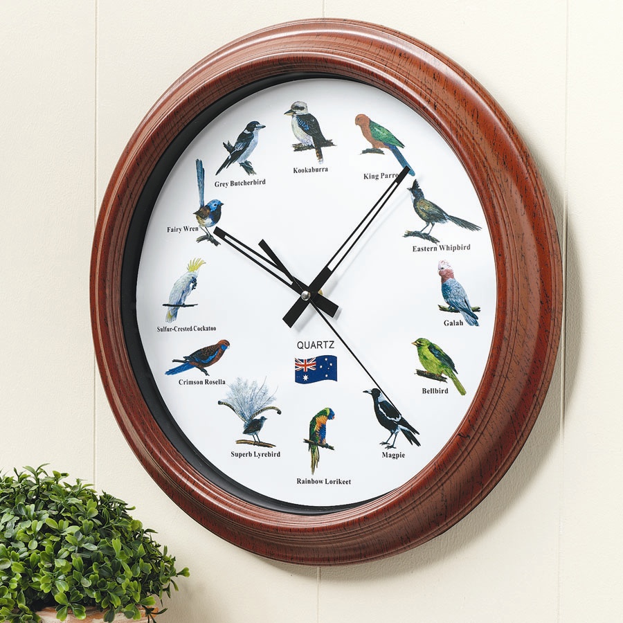 NEW Australian Bird Clock eBay