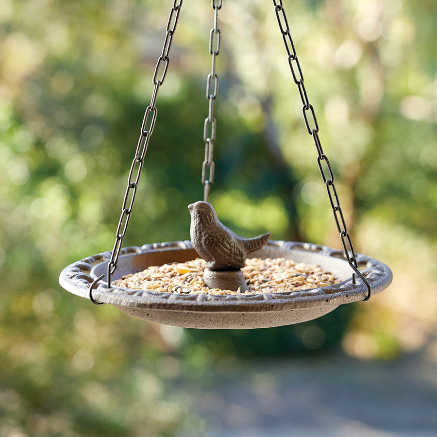 Cast Iron Hanging Bird Feeder Innovations