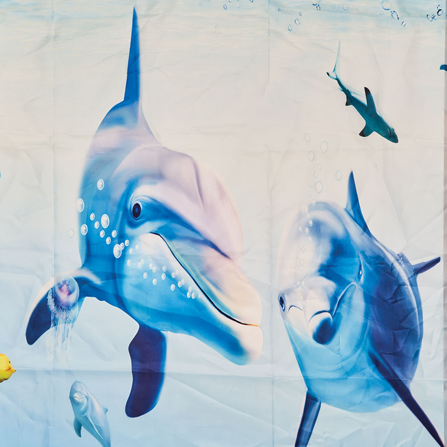 Dolphin Bathroom Accessories Innovations