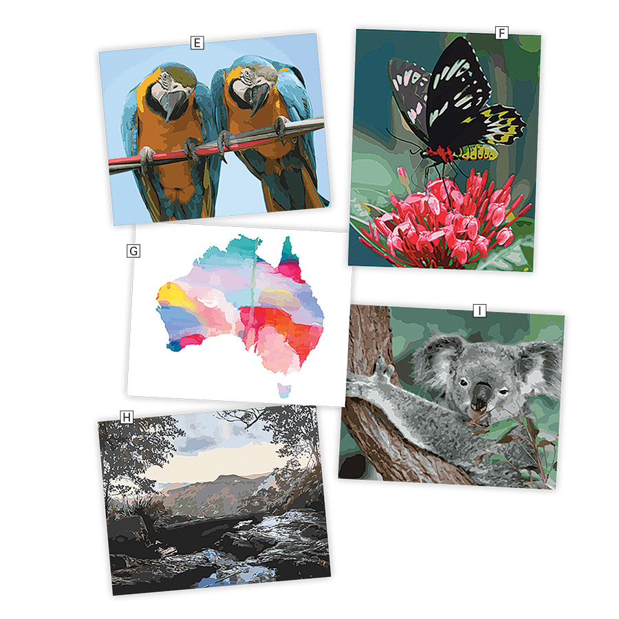 PaintByNumbers Large Innovations