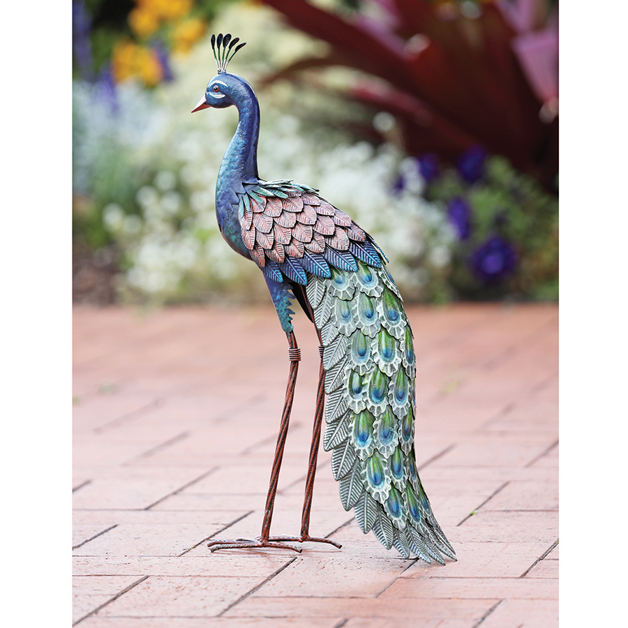 Stunning Metal Peacock Innovations