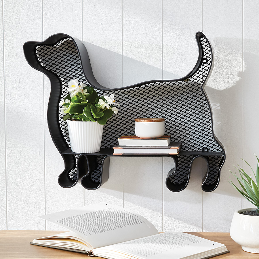Pet Wall Shelf Innovations