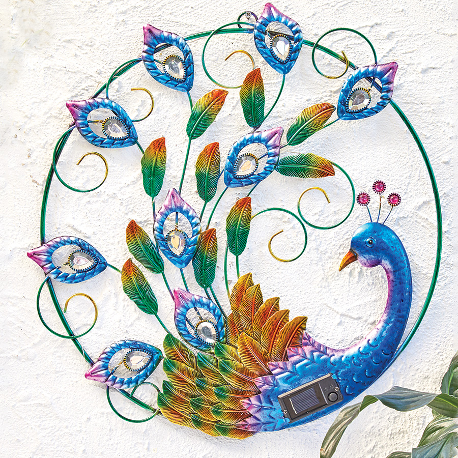 Illuminated Proud Peacock Innovations