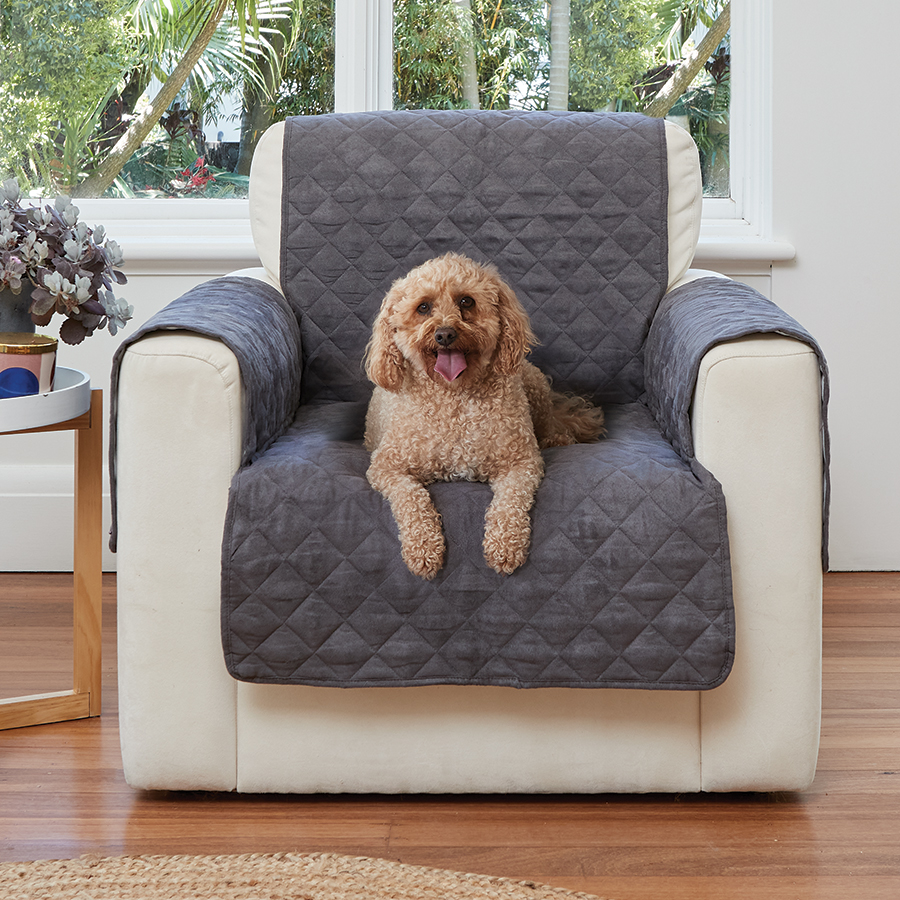 Pet Sofa Protector Innovations